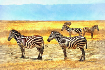 Fototapeta na wymiar Zebra at savanna colorful painting looks like picture, Tanzania.
