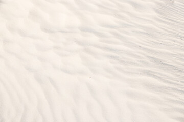 Fototapeta premium Background, sand, light, beige, wave, reflect, shadow, summer. Light shadows and patterns on the sand of dune. Beautiful sand`s background with graphics waves, shadows and lights.