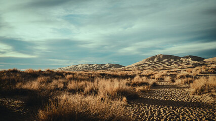 Kelso Dunes- Mojave Desert California