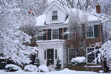 Snow covered trees in front yard of house