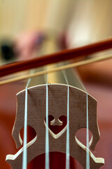 Close up of bridge, violin part . Closeup of part string instrument cello with snares and bridge.  © blackdiamond67