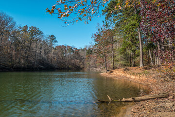 Lake inlet in autumn