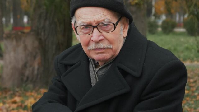 Handsome elderly senior man looking at camera in park