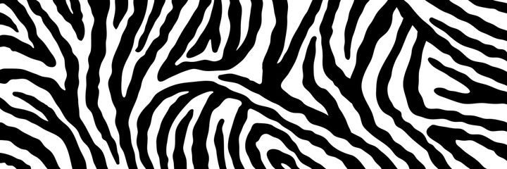 Vector abstract animalistic background. Freehand illustration of zebra skin print. Long horizontal banner. © Anna
