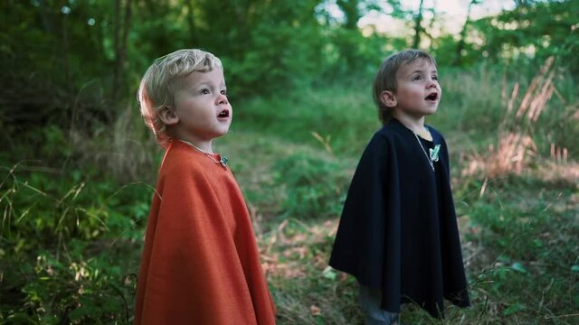 Two little toddler boys cosplay gnomes or hobbits in long capes smiling sincerely magically falling foliage in green forest. Halloween, kids concept. Amazing fairy tale character. Slow motion. 
