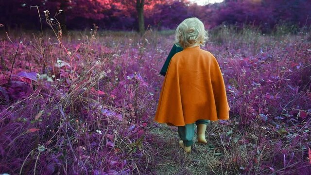 Two little toddler boys cosplay gnomes or hobbits in long capes walking barefoot in wonderland purple pink forest. Halloween, kids concept. Amazing fairy tale character. Slow motion. 