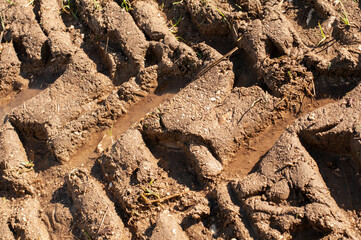 tractor tracks in a muddy dirt road