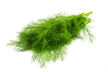 bunch fresh green dill isolated on white background.