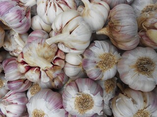 Close-up of garlic on market stall