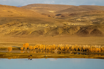 The altai mountains. landscape of nature on the Altai mountains and in the gorges between the...