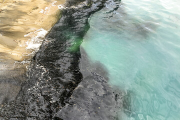Beautiful sand sea blue water or lake beach polluted with black harmful toxic sewage chemicals....