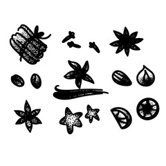 Fototapeta premium Vector hand drawn set of spices. Vintage illustration