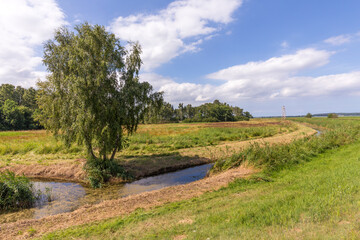 Fototapeta na wymiar rural landscape in Usedom with typical achterwsser creeks and agriculture