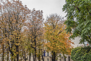 Fototapeta na wymiar Beautiful autumn colors in Paris.
