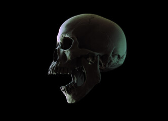 Human skull in profile on a black background. Print, material for design. T-shirt, wallpaper and background concept. The concept of death, horror. Spooky Halloween symbol. 3D illustration.