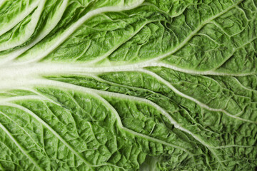 Fototapeta premium Fresh ripe Chinese cabbage as background, top view