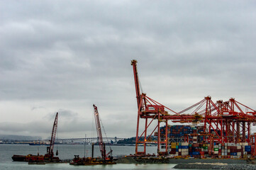 Fototapeta na wymiar Port container cranes. 
