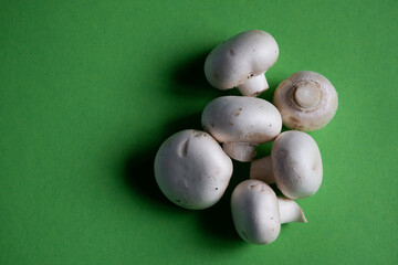 White button mushrooms on a plain green background