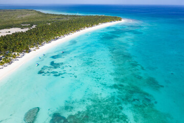 Tropical shore with palm trees and turquoise caribbean sea. Travel destinations. Saona Island. Aerial view.