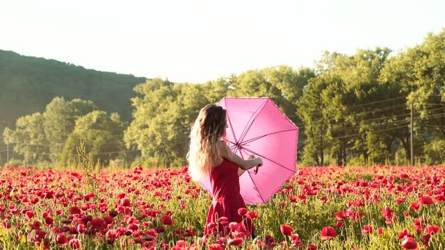 Young woman in poppy feild. Relaxing and provence. Freedom on nature. Young woman walking on spring meadow. Lovely young romantic woman smiling on blooming field.