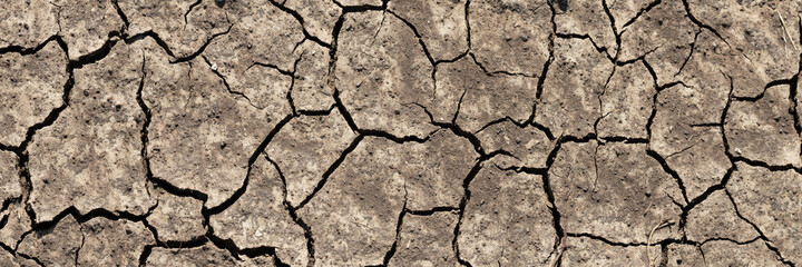 Texture of cracked dried soil. Dry ground with cracks. Brown rough surface of the soil during summer drought. Wide panoramic background for design. Ecology, climate change and global warming on Earth.