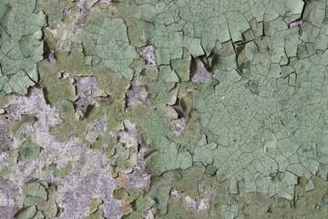Green peeling paint on the wall. Old concrete wall with cracked flaking paint. Weathered rough painted surface with patterns of cracks and peeling. High resolution texture for background and design.