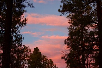 sunset in arizona