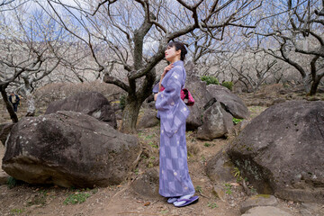 Naklejka premium 着物を着ている女性