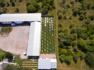 Aerial view of the Great Apiary. Industrial beekeeping with honey bees.