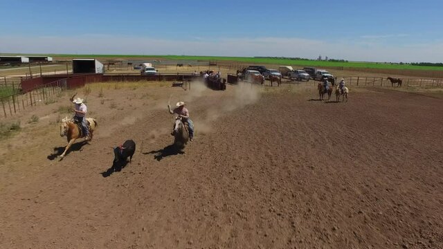 Cowboy Cattle Roping Aerial Front 
