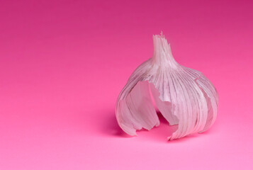 A garlic bulb skin on a pink background