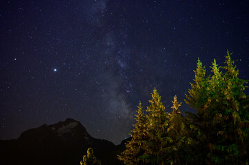 Fototapeta premium Evergreen fir tree with cones, peaks of French Alps mountains and starry sky at night on background