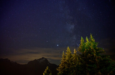 Naklejka premium Evergreen fir tree with cones, peaks of French Alps mountains and starry sky at night on background