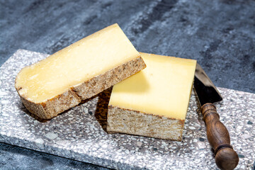 Cheese collection, French hard comte cheese made from cow milk in region Franche-Comte, France