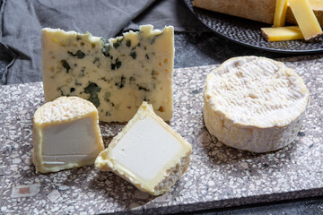 Cheese collection, French cheeses made from goat, cow and sheep melk: semi hard Roquefort blue cheese, soft Chabichou of Poitou and Camembert of Normandy