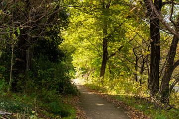 山道