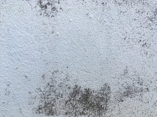 White paint surface texture 