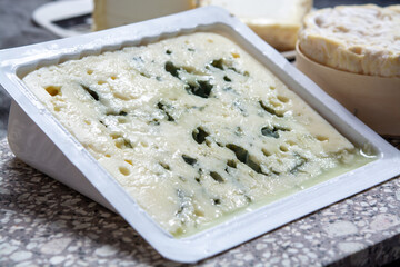 Cheese collection, French semi hard Roquefort blue cheese made from sheep milk in region Roquefort-sur-Soulzon, France