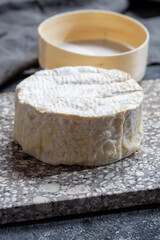 Cheese collection, French soft Camembert of Normandy cheese made from cow milk in region Normandy, France
