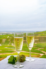 Tasting of french sparkling white wine with bubbles champagne on outdoor terrace with view on grand cru Champagne vineyards in Cramant, near Epernay, France