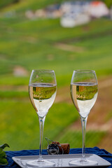 Tasting of french sparkling white wine with bubbles champagne on outdoor terrace with view on grand cru Champagne vineyards in Cramant, near Epernay, France