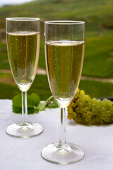 Tasting of french sparkling white wine with bubbles champagne on outdoor terrace with view on grand cru Champagne vineyards in Cramant, near Epernay, France