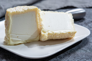 Cheese collection, French soft Chabichou of Poitou cheese made from goat milk in region...