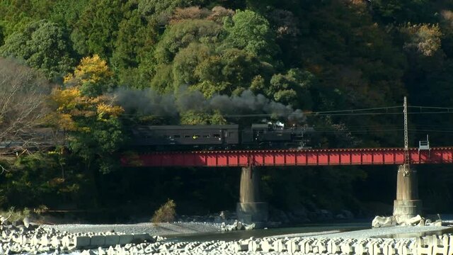 秋の大井川鐵道を走る蒸気機関車