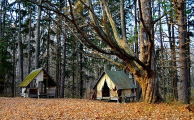 Abandoned Camp