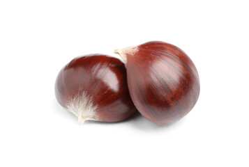 Fresh sweet edible chestnuts on white background
