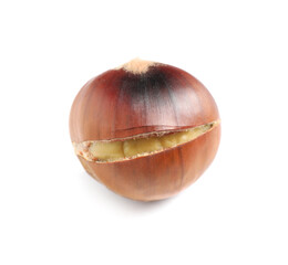 Obraz na płótnie Canvas Delicious sweet roasted edible chestnut isolated on white
