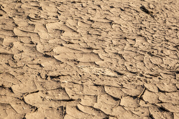 Texture of the dried earth with clay and sand, close-up