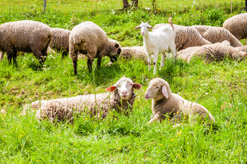  Eifel, Germany, North Rhine-Westphalia