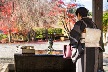 日本　紅葉の南湖神社で手水を使う和服の女性